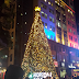 Eastwood Mall Lights Its Giant Tree of Hope