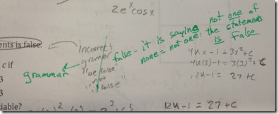 photo 5 (3)