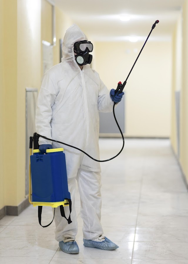 Understanding Why Pest Control is Critical for Your Health