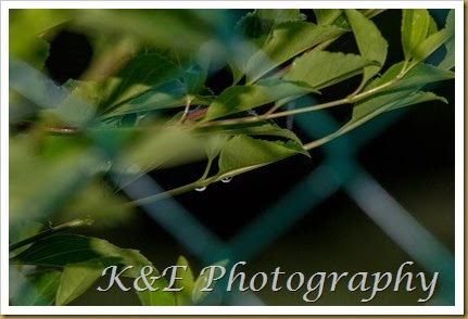 JUNE 2014 (12 of 18)