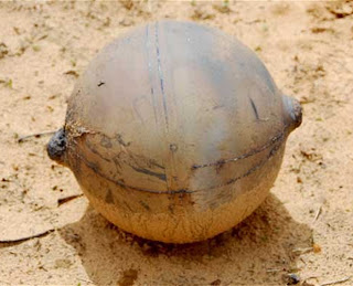 Μυστηριώδης μεταλλική σφαίρα έπεσε "απο το διάστημα" στην Ναμίμπια