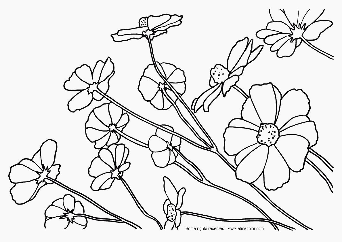 coloring pages for kids