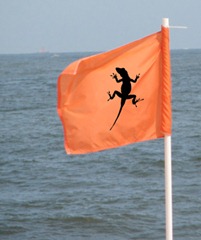 Linchpins are everywhere. Raise the flag.