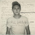 Niall Horan – This Town (US Version) – Single [iTunes Plus AAC M4A]