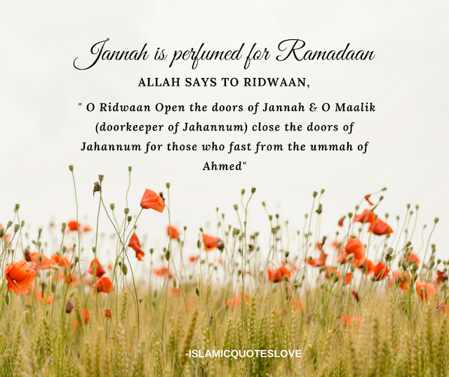 Jannah is perfumed for Ramadaan.It is beautified from the beginning to the end of the yr. When the 1st night of Ramadaan comes , then a wind named Mutheera blows beneath the Arsh. This causes the leaves of the trees & the door handles to give of such a melodious as had never been heard before. The pleasing dark eyed damsels stand between the balconies of Jannah & call out " O Ridwaan (keeper of Jannah) What night is this ?" He replies " Labbaik this  is the first night of Ramadan . The doors of Jannah have been opened for the ummah of Nabi  ﷺ today.  ‎الله says to Ridwaan, " O Ridwaan Open the doors of Jannah & O Maalik (doorkeeper of Jahannum) close the doors of Jahannum for those who fast from the ummah of Ahmed ﷺ