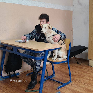 Привет из дома от щенка Марли | Приют Щербинка для бездомных животных (собак), Бутово, Москва, ЮЗАО