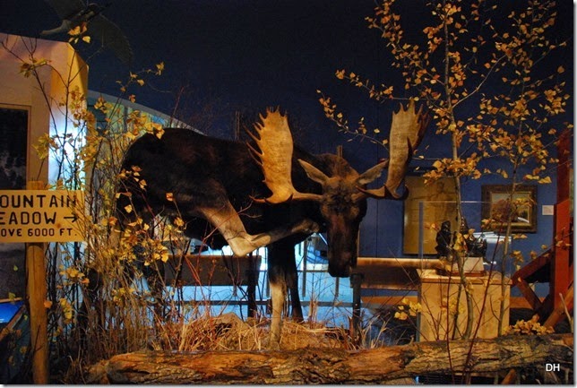 07-18-14 A Buffalo Bill Center of the West (136)