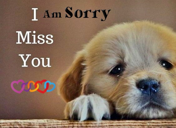 I Am Sorry Messages For Boyfriend, Apology Quotes for Him, Partner & Husband