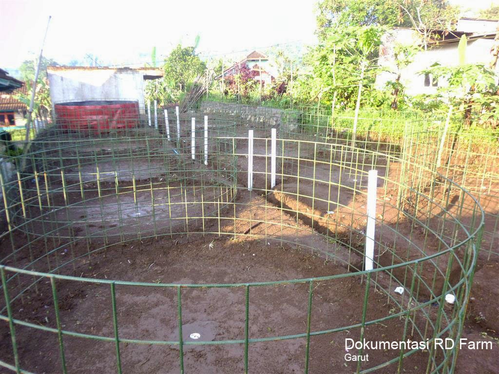 Kolam Bulat, Panduan, Artikel, Fakta dan Data, NWS, Lele Sangkuriang, Kolam Terpal, Kolam Terpoly, Tutorial, Tips dan Trik, 
