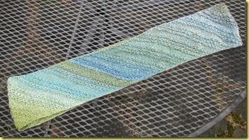 IMG_9800