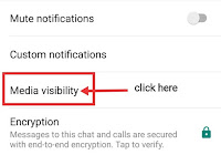 Whatsapp Messenger Media Visibility