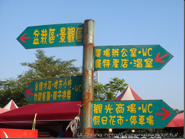 DSC05967