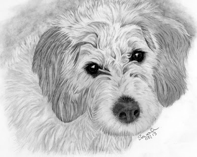 Cute, Dog, Canine, Pet, Animal, Pet Portrait, Graphite Pencil, Drawing, Art