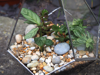 Handmade Terrarium by welaughindoors