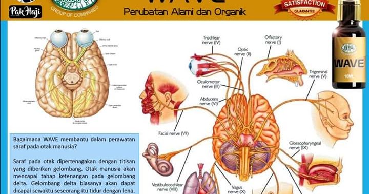 Ubat Titis Untuk Mata Rabun - Contoh Pom