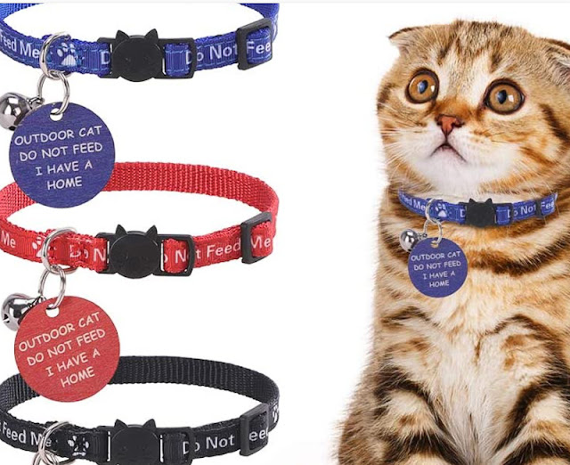 Dietary alert collar for a cat who is being fed by a neighbour and becoming obese