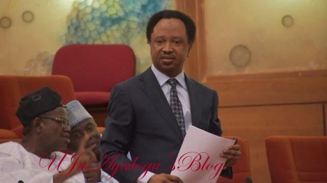 A mighty mortal has been caught, says Shehu Sani on SGF’s suspension