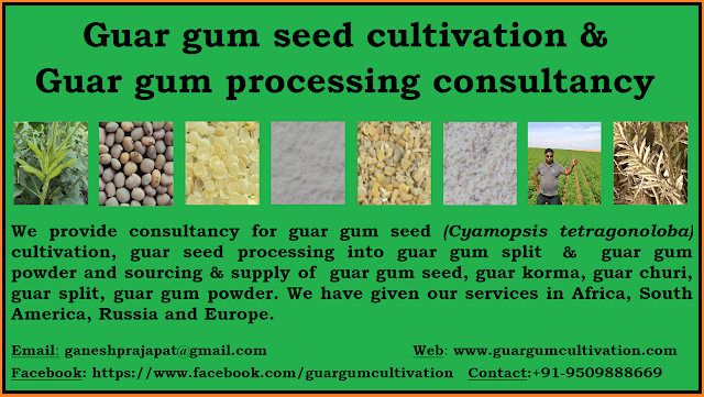 guar seed and gaur gum cultivation consultant and consultancy services