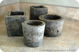 Keep It Growing Forward: Make Your Own Concrete Planter Pots