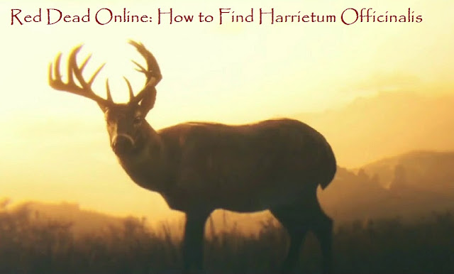 Red Dead Online: How to Find Harrietum Officinalis