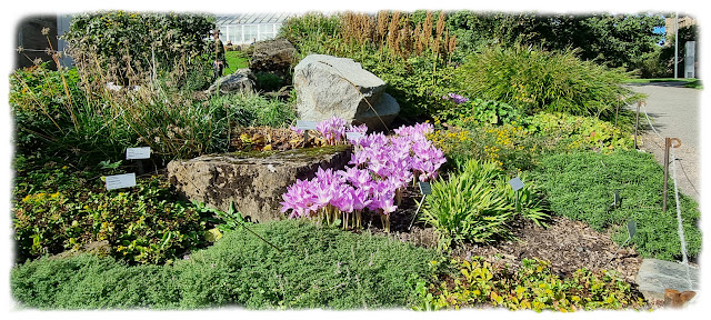 Blomsterbed like nedenfor Victoriahuset.