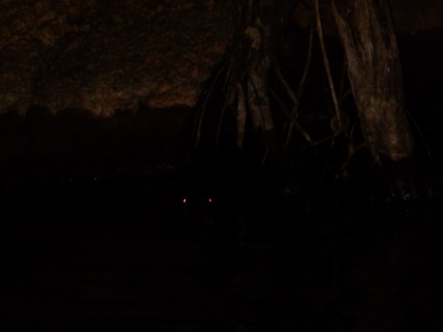 DSCN3853