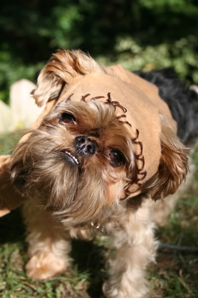 Dog Ewok Costume