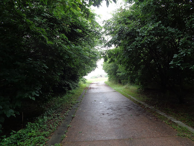 むきばんだ史跡公園の弥生の森　遊歩道