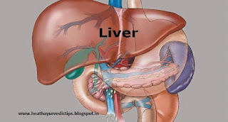 liver image