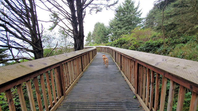 Sandy at Bell's View Trail