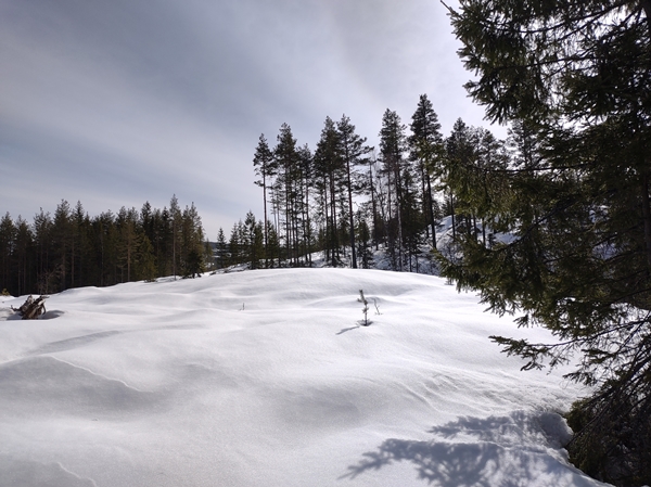 skautur bårnåsåsen