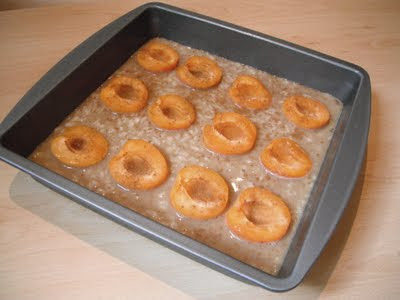 Southern Spoon blog: rice pudding cake with apricots