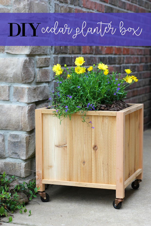 life-storage-cedar-planter-box-4