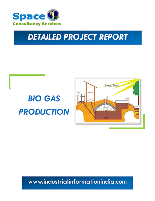 Bio Gas Production Project Report