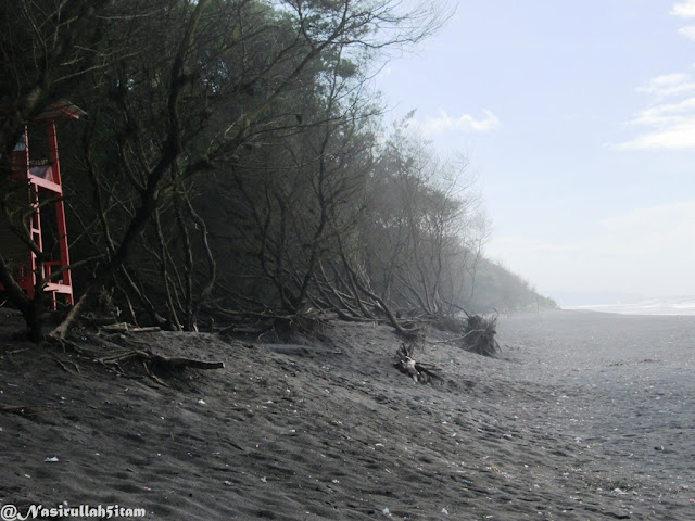 Pesisir Pantai Goa Cemara