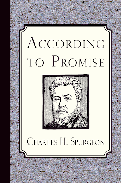 http://www.amazon.com/According-Promise-Method-Dealing-Chosen/dp/1935626833/?tag=curiosmith0cb-20