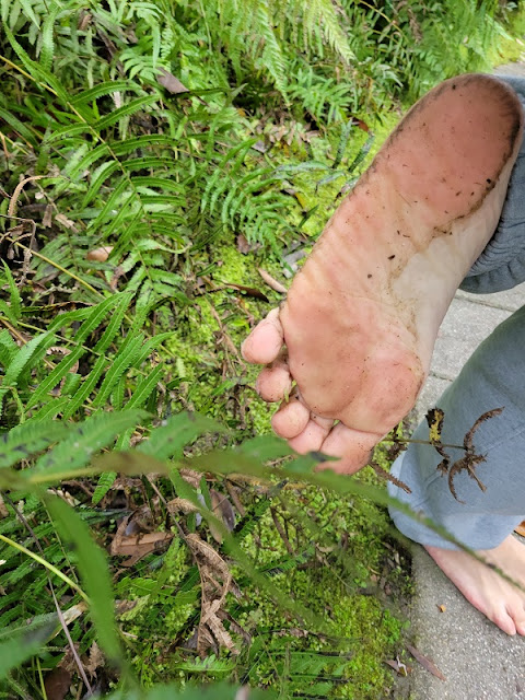 赤腳生活最健康 赤腳環保愛地球 赤腳走路可以解決你所有的健康問題