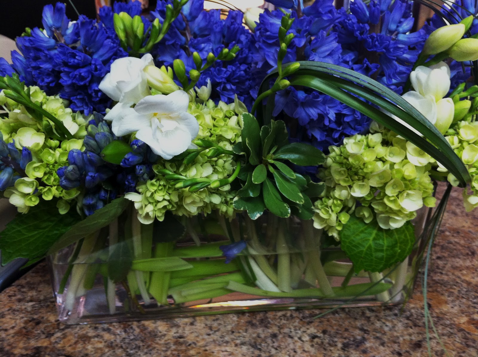 Blue Hydrangeas