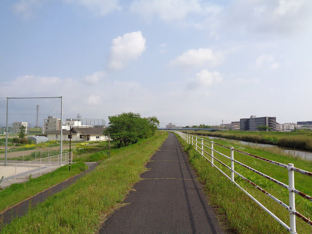 吉田川を上流に歩きます