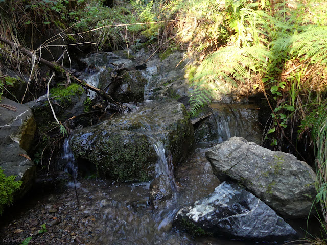 40: cascading creek