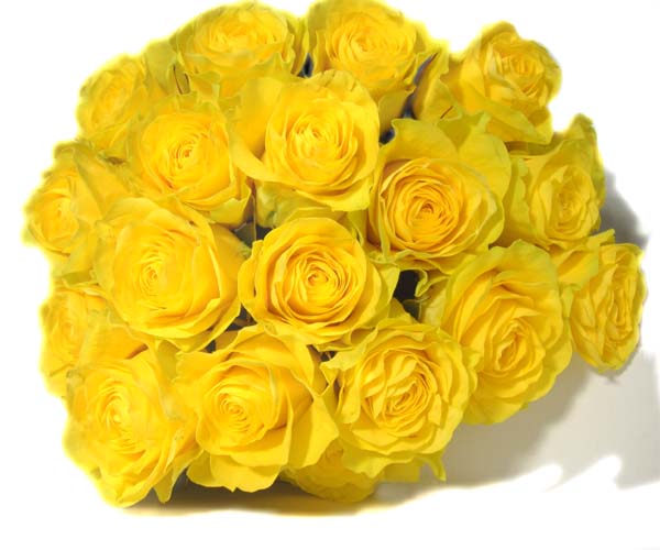 types of flowers roses Flowers Yellow Roses Bouquet | 600 x 500