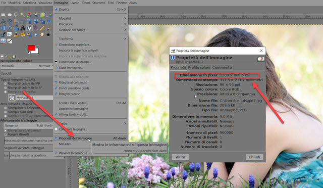 proprieta-immagine-gimp