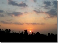Photo0784