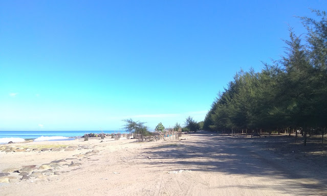 Pasaman Barat: Keindahan Alam dan Budaya yang Memikat di Sumatera Barat