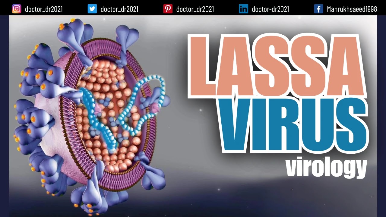 Lassa Fever: Causes, Symptoms, and Prevention