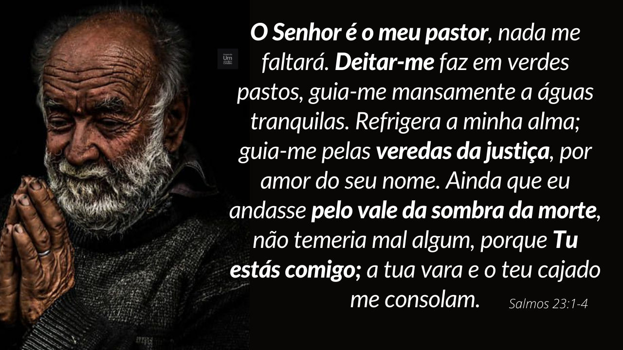 o senhor é meu pastor e nada me faltará