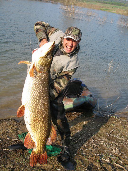 International Fishing News: ITALY: World record size pike caught!