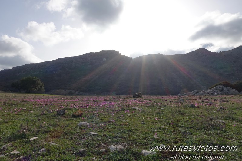 Sierra de Montalate