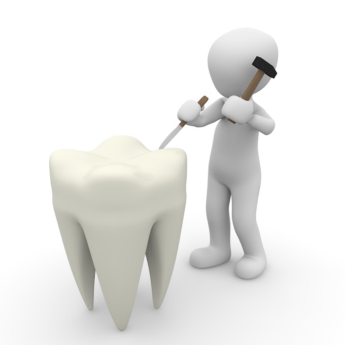 Best Dentist in New Jersey