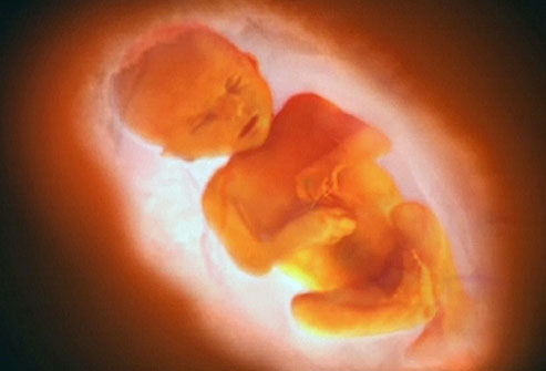 Pictures Of Babies Born At 36 Weeks. Fetal Development at 36 Weeks
